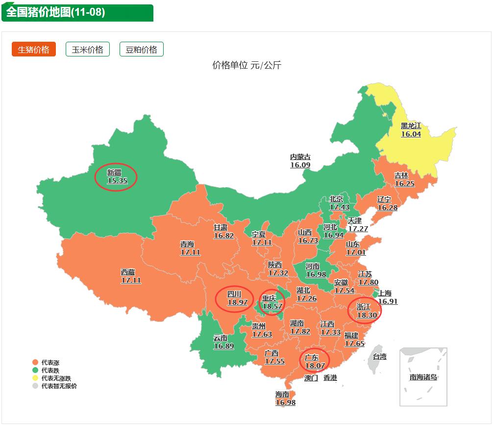 11月8日全国猪价：猪价继续冲天飞，直逼10元！养猪人卖还是等？