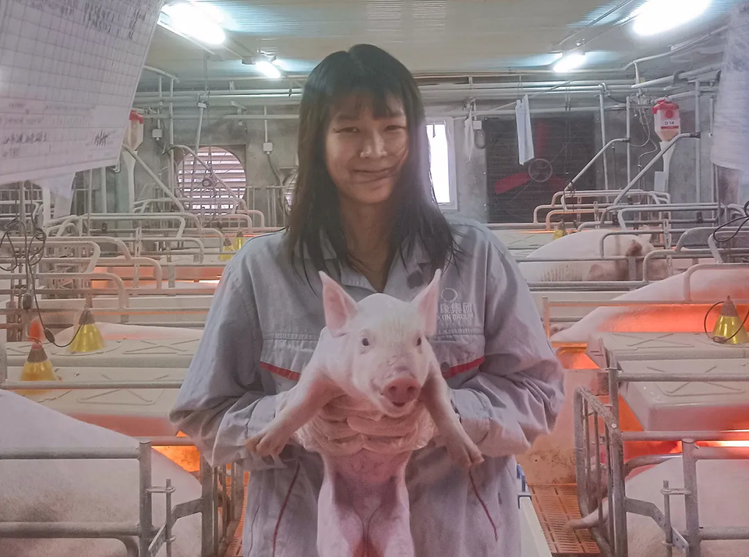 知猪、爱猪！“爱猪人士”朱迪把一窝弱仔全部带成正品是什么体验？