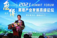 朱增勇：中国生猪产业周期性波动及应对策略