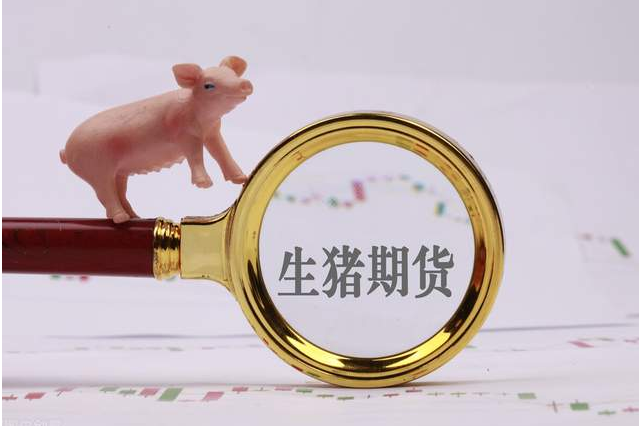 生猪期货