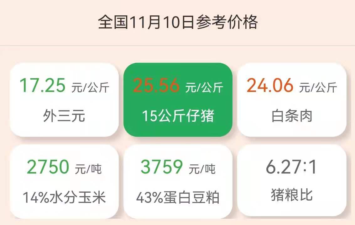 11月10仔猪价格：太惨！温氏10月巨亏12亿，一头仔猪仅卖70元？