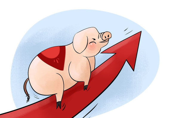 农业农村部：11月第1周全国活猪均价比前一周上涨4.2%，仔猪均价上涨2.8%