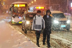 这个“双十一”为养猪人拼了！暴雪突袭也无法阻挡他们的脚步！