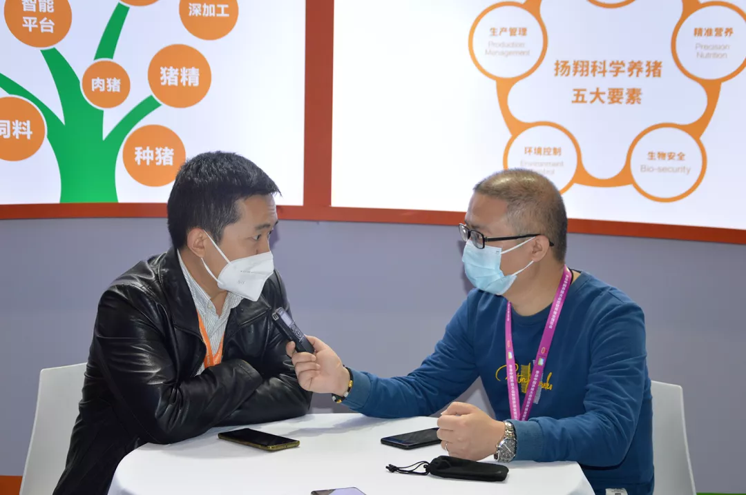 五大措施打造竞争力！猪价低迷期降本增效方案需与时俱进