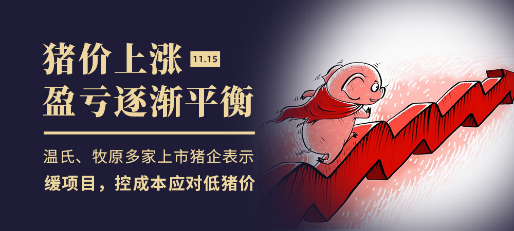 猪价上涨，盈亏逐渐平衡，温氏、牧原多家上市猪企表示：缓项目，控成本应对低猪价