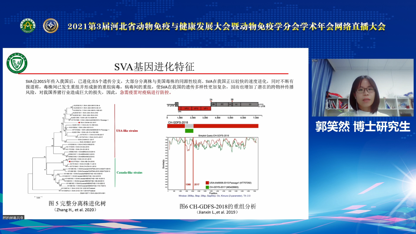 2021第3届河北省动物免疫与健康发展大会暨动物免疫学分会学术年会网络直播大会在石隆重召开