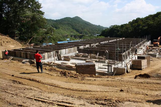 参观猪场：韩国养猪业发展跟中国类似，面临变革