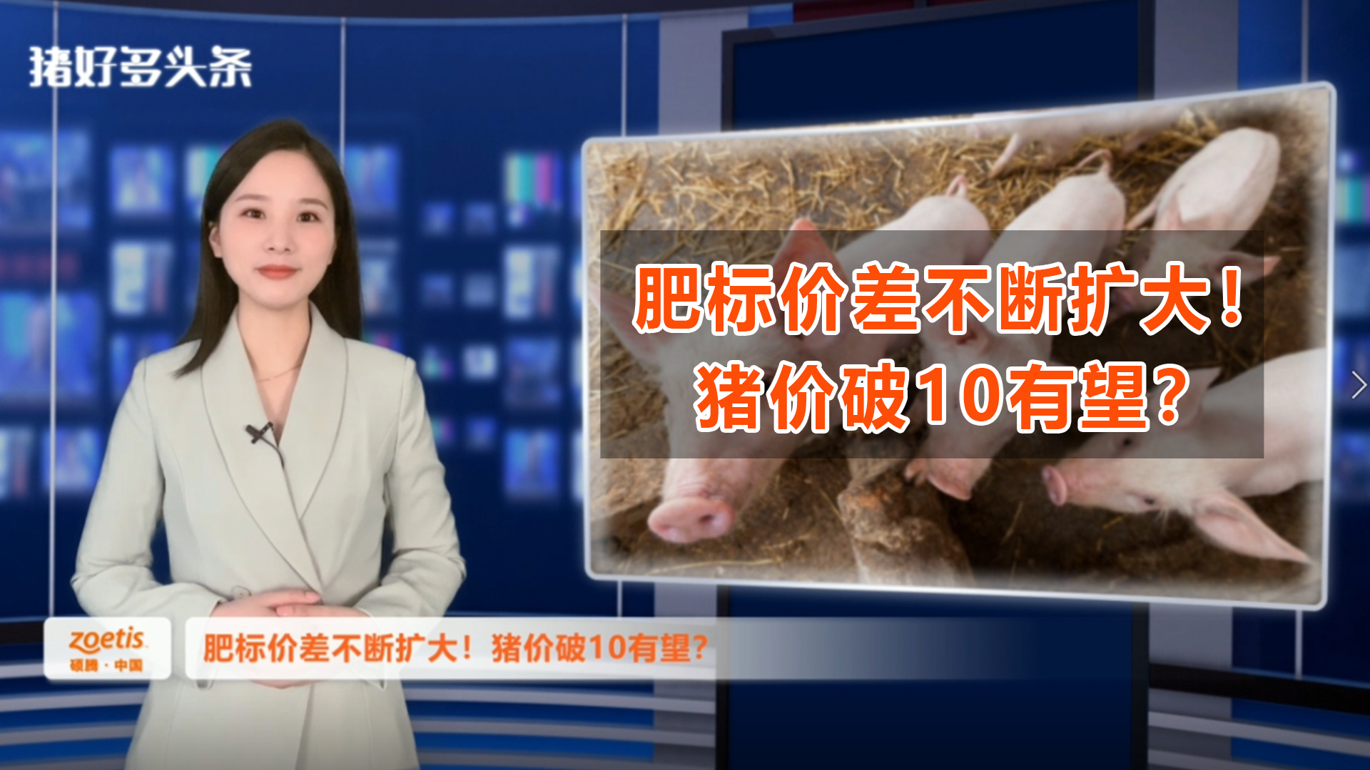 肥标价差不断扩大！大猪紧缺局面或暂难改变，猪价破10有望？ 