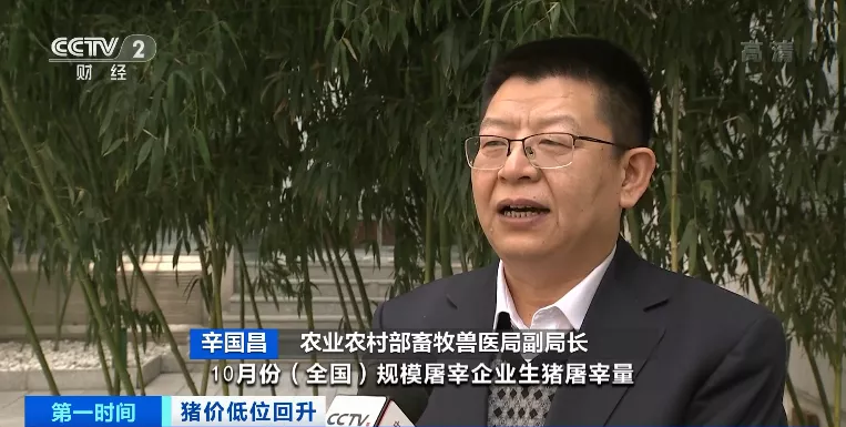 农业农村部释放重要信号“能繁母猪调减有成效！2