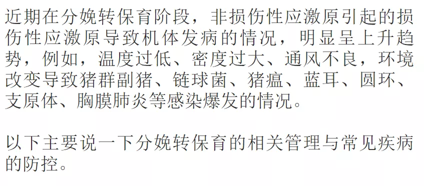 仔猪分娩转保育时，应如何有效避免转群应激？ 怎么预防？