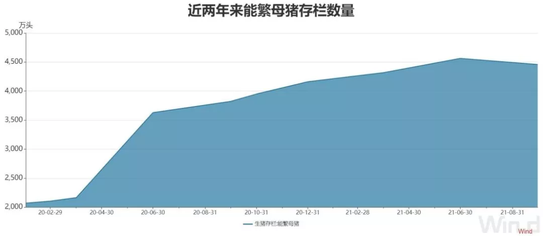 专家认为产能相对过剩，猪价还得跌？养猪户认为产能不足，猪价能继续涨？