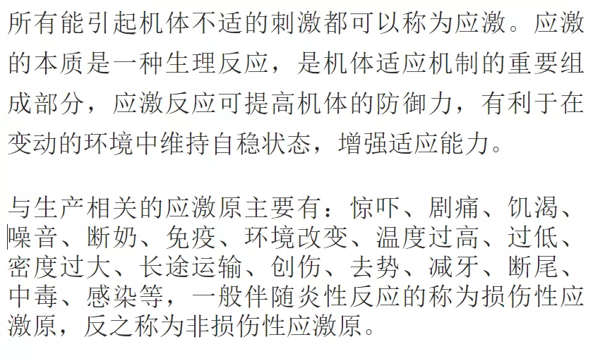 仔猪分娩转保育时，应如何有效避免转群应激？ 怎么预防？