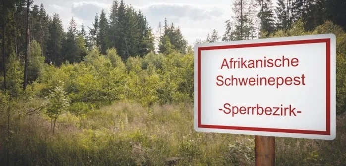 德国联邦农业部确认，非洲猪瘟感染第一个大型猪场