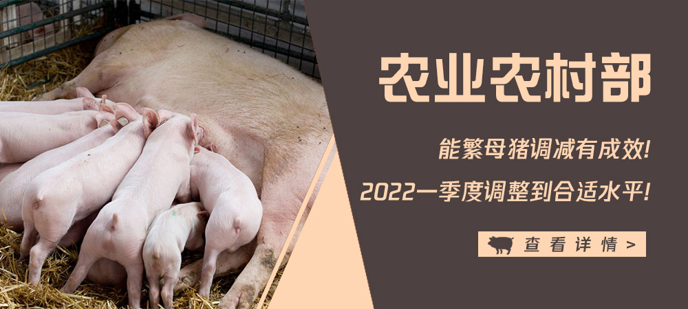农业农村部释放重要信号“能繁母猪调减有成效！2022一季度调整到合适水平 ！”