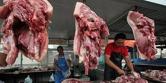 明年猪肉将会上涨到50元/斤，重获往年辉煌，你敢信？
