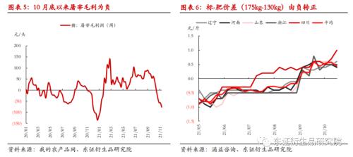【热点报告——生猪】阶段性供需错配，关注旺季需求增量