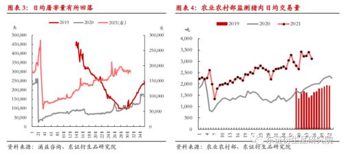 【热点报告——生猪】阶段性供需错配，关注旺季需求增量