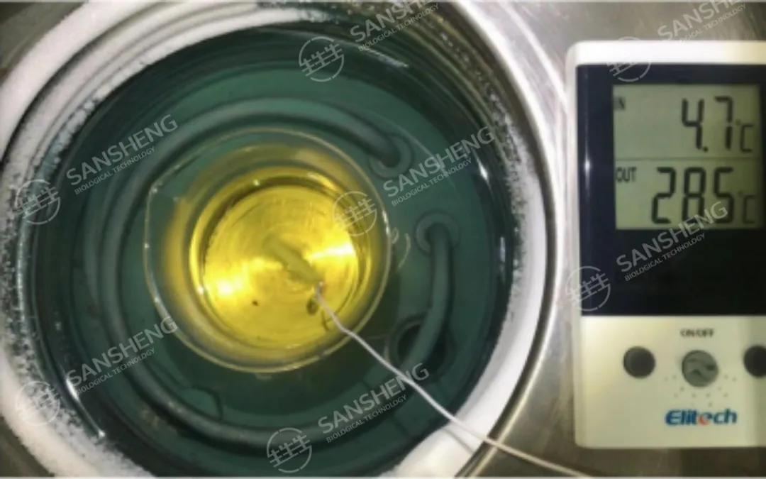 孕力宝——无惧寒冷，零下15℃硬核见证