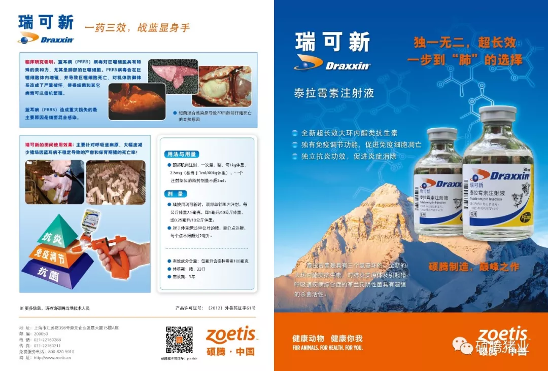死淘率显著降低！应用瑞可新对不同PRRSV感染状态的断奶仔猪群健康问题的影响