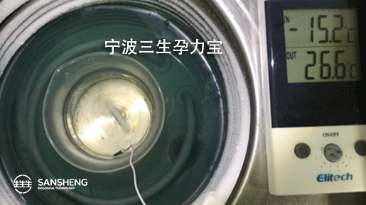 孕力宝——无惧寒冷，零下15℃硬核见证