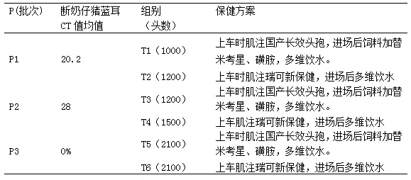 死淘率显著降低！应用瑞可新对不同PRRSV感染状态的断奶仔猪群健康问题的影响