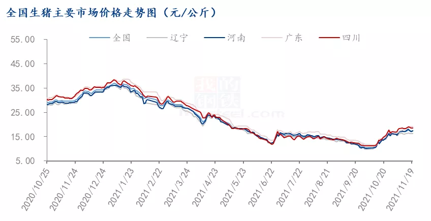 年末猪企大点兵，几家欢喜几家愁？进口冻品，此锅谁背？