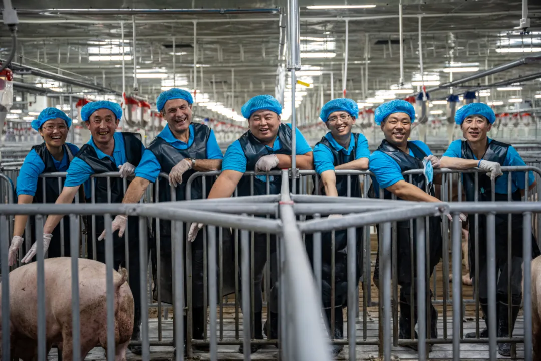 毛区健丽：本土育种企业，有黑猪纯种才够“中国味儿”