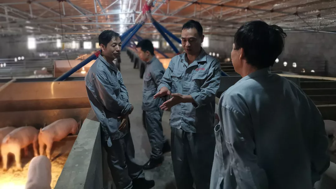 看！扬翔股份与华中农大携手的十二年