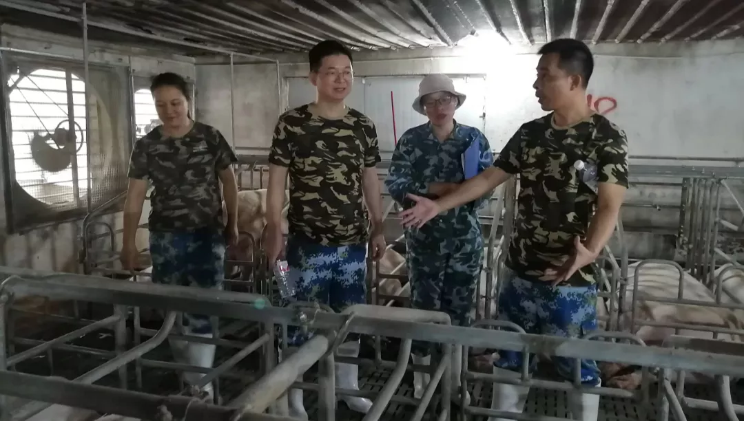 看！扬翔股份与华中农大携手的十二年