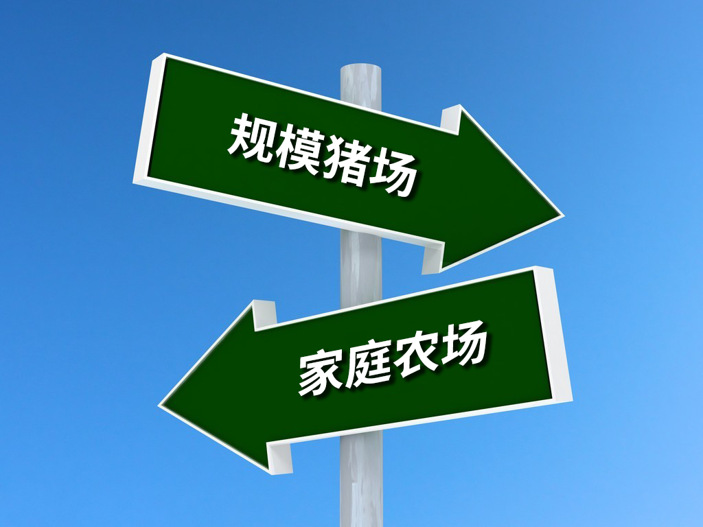未来10年，规模猪场和家庭猪场，到底谁是中国猪业的主力军