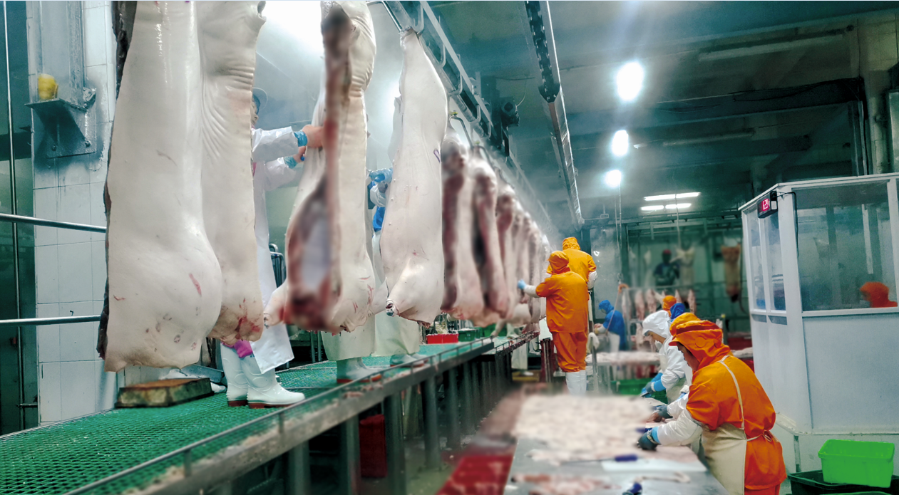 龙大肉食：生猪从进厂到出厂，检验检疫贯穿全程