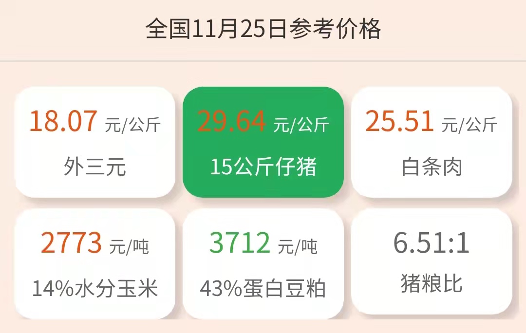 11月25日仔猪价格：涨幅高达41%！猪价提气，仔猪价格也要狂飙？