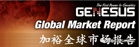 加裕全球市场报告 - 中国，2021年10月