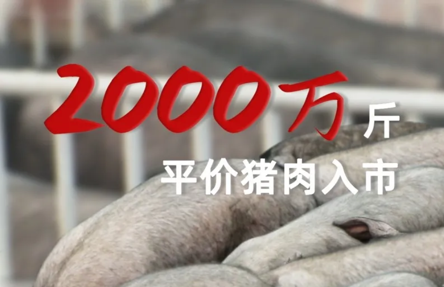 淘菜菜“以销定产”稳定肉价，“猪周期困局”有望解决！猪价暴涨暴跌将成过去式？