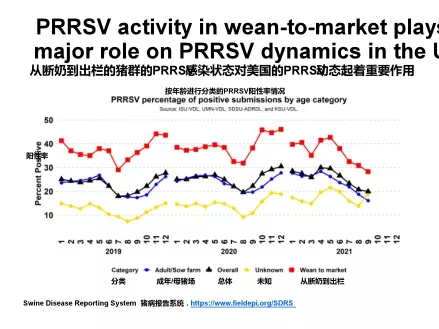 PRRSV新型1-4-4株的流行动态及防控措施