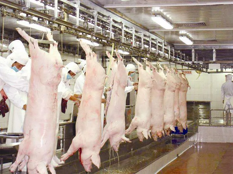屠宰成香饽饽？牧原、新希望、双汇、天邦，四大养殖巨头纷纷布局，硝烟四起！