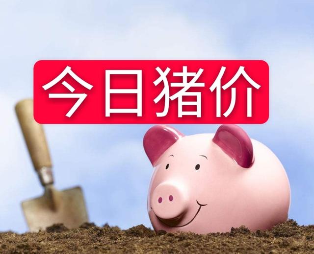 2021年11月30日全国各省市外三元生猪价格，南北猪价齐声下跌，这波涨价结束了？