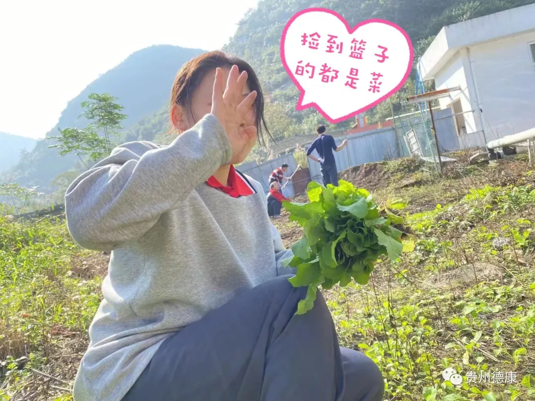 开辟荒芜地、耕种满田园——册亨种场开荒趣事