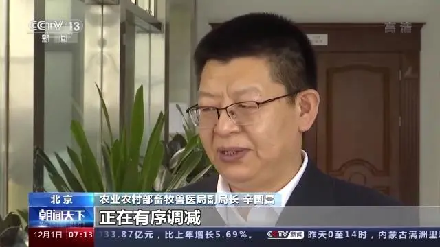 农业农村部：生猪生产仍惯性增长！元旦春节期间，生猪总量充足，供应有保障