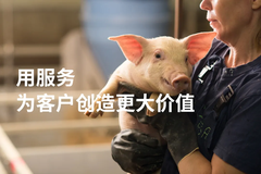 普爱集团发挥国家重点龙头企业引领作用，为畜牧业务振兴增添新动能