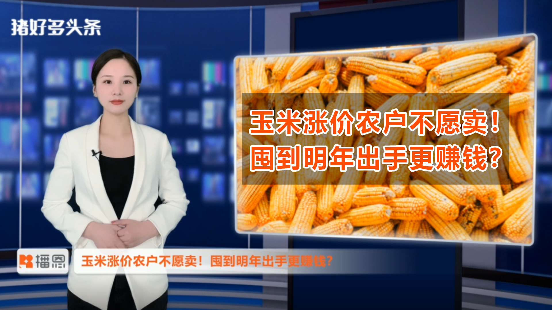 玉米涨300元/吨，农户不愿卖！囤到明年再出手更赚钱？ 