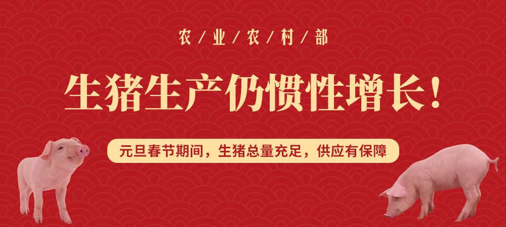 农业农村部：生猪生产仍惯性增长！元旦春节期间，生猪总量充足，供应有保障