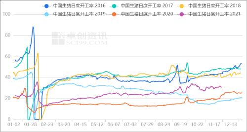 “禁调令”来了，这类生猪进入六省需备案！排骨涨幅超50%！“两节”临近，猪价还能涨？