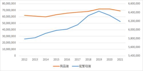 “禁调令”来了，这类生猪进入六省需备案！排骨涨幅超50%！“两节”临近，猪价还能涨？