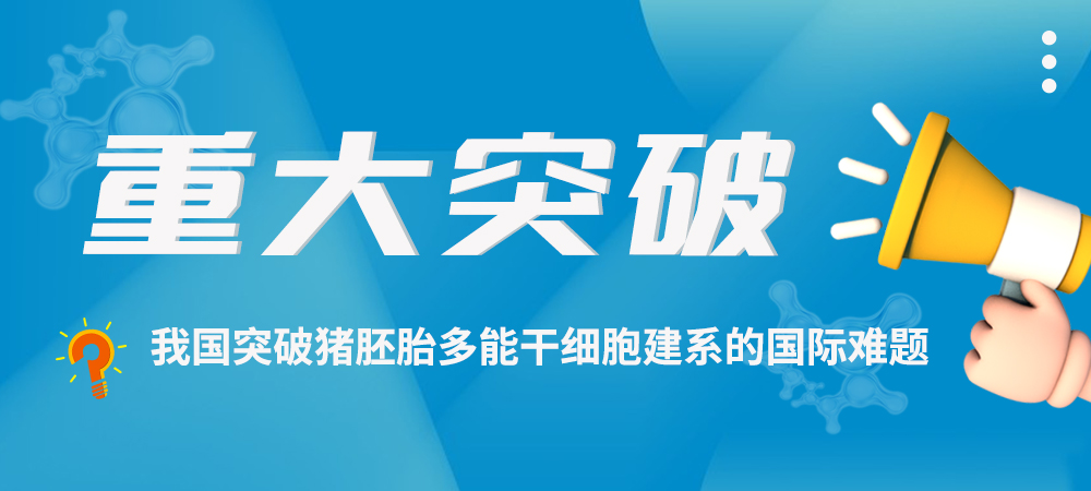 重大突破！我国突破猪胚胎多能干细胞建系的国际难题