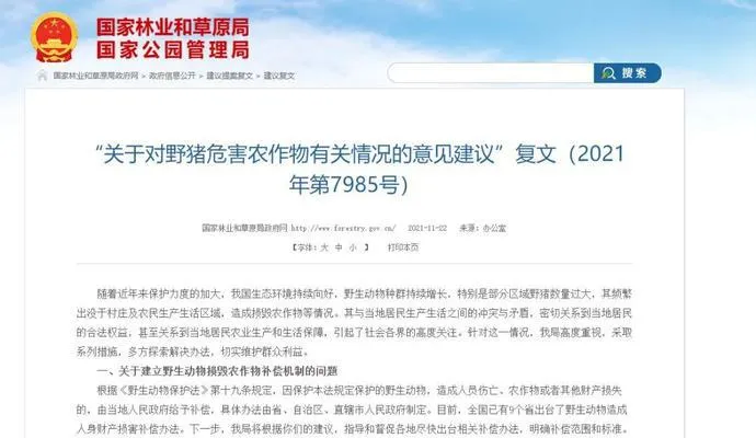 农民辛苦一年，野猪一夜毁完！20509亩农田已受灾，蔬菜地也被啃！