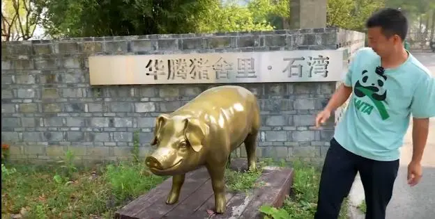 中兴通讯与中国移动为华腾·猪舍里打造5G专网！有哪些亮点？