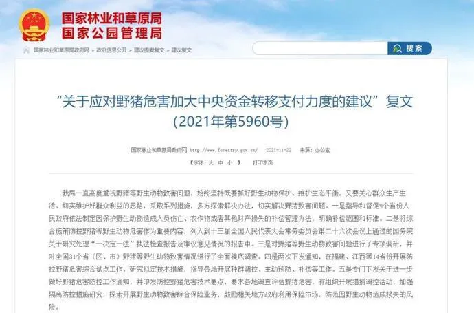 农民辛苦一年，野猪一夜毁完！20509亩农田已受灾，蔬菜地也被啃！