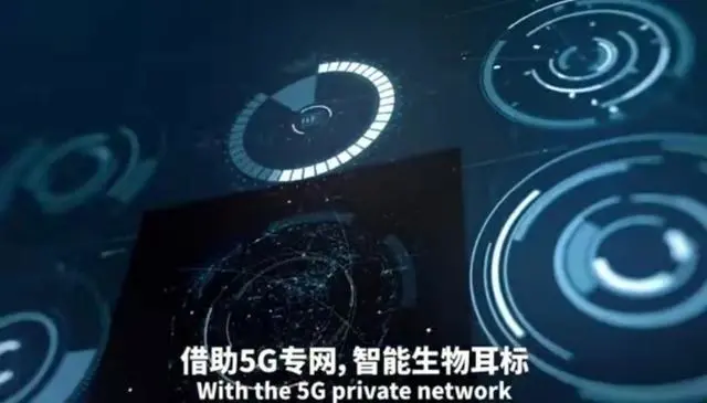 中兴通讯与中国移动为华腾·猪舍里打造5G专网！有哪些亮点？