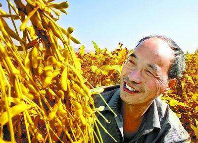 2021年12月04日全国各省市豆粕价格行情，12月豆粕缺乏大涨基础，后市下探概率较大